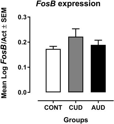 FosB mRNA Expression in Peripheral Blood Lymphocytes in Drug Addicted Patients